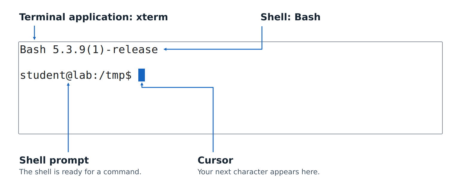 An xterm session on Linux, labeled with the terminal application, shell, shell prompt, and cursor. The prompt is customized for this example.